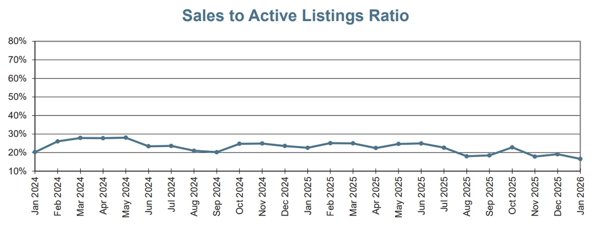 Line chart of the sales-to-active listings ratio for the VREB district from Jan 2024 to Jan 2026, hovering mostly in the high teens to mid-20% range and trending lower into late 2025 and Jan 2026.